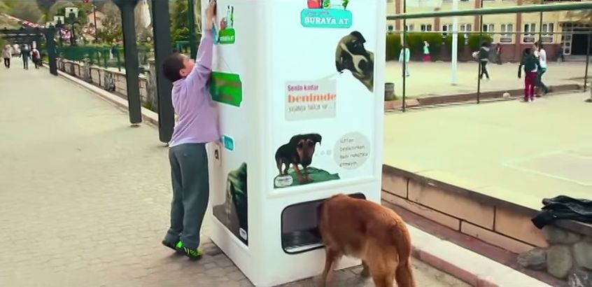 Garfield-becoming-a-friend