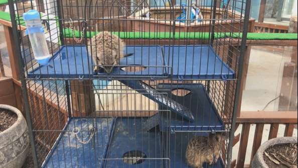 po-becoming-a-friend