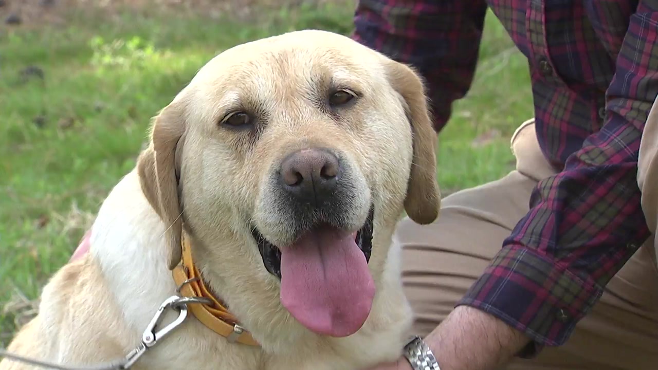 Peter rabbit-becoming-a-friend