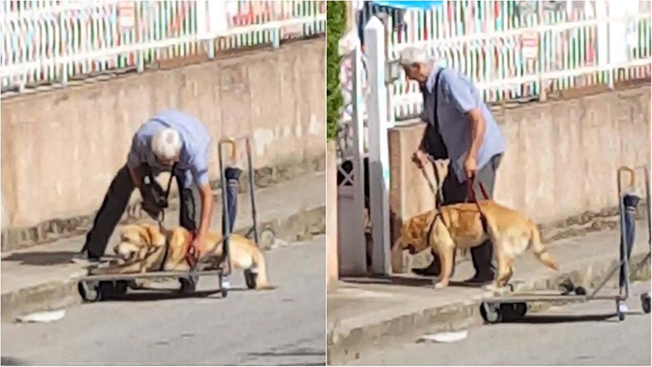 paddington-becoming-a-friend